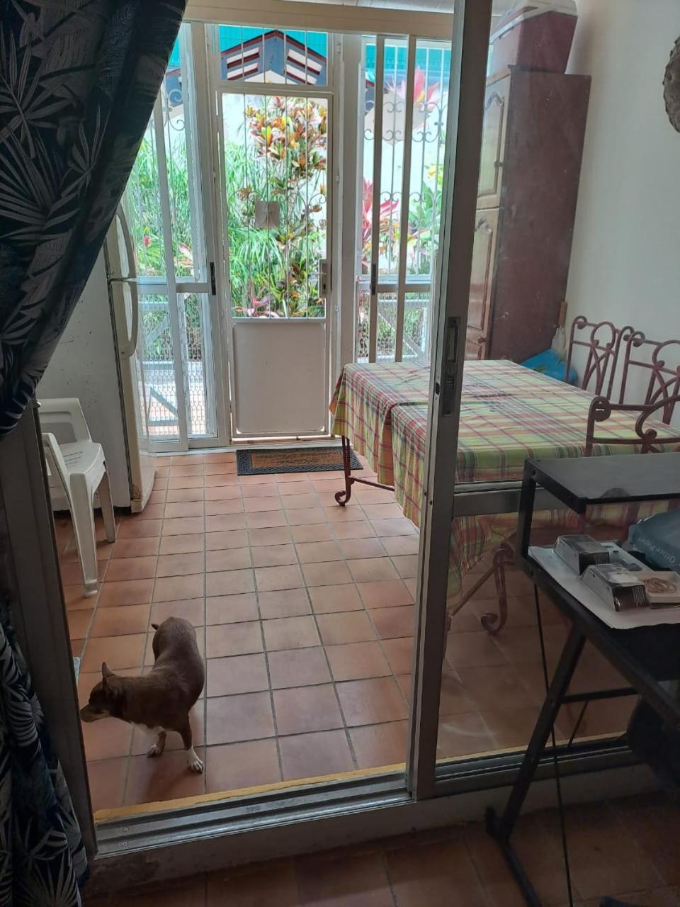 Appartement T2 Meuble Tout Confort Le Gosier  Luaran gambar